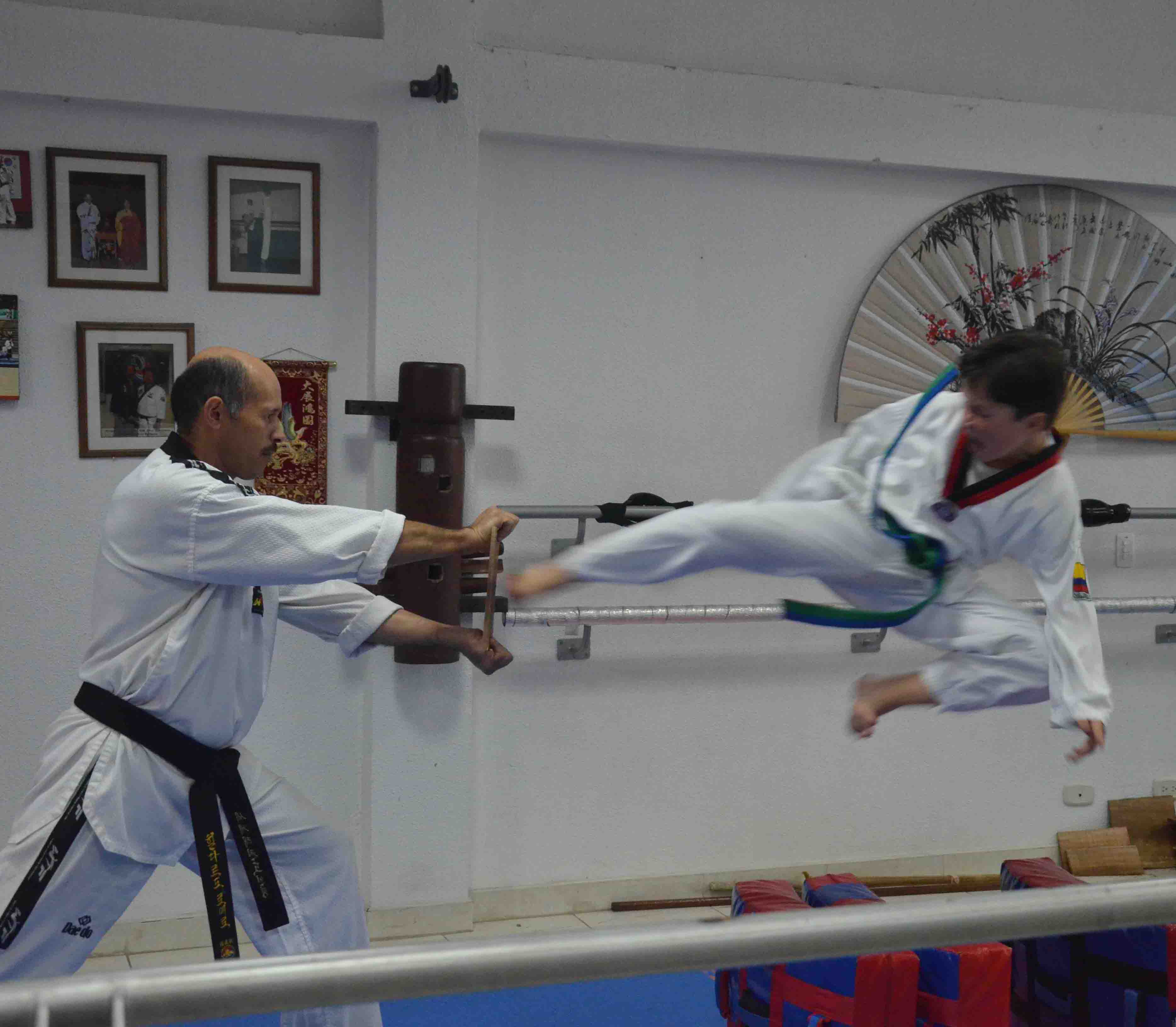 clases de taekwondo en bogota